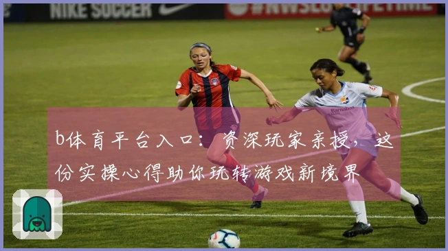 b体育平台入口：资深玩家亲授，这份实操心得助你玩转游戏新境界